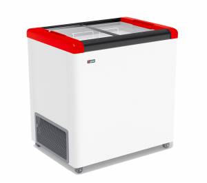 Ларь морозильный Frostor FG 250 С (FG 200 С) Ларь морозильный Frostor FG 250 С (FG 200 С)